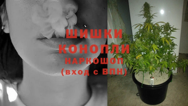 гидра Наволоки