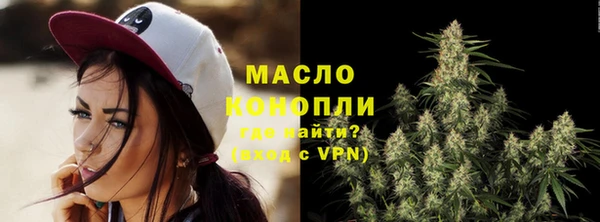 гидра Надым