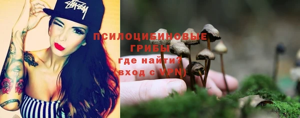 шишки Алзамай