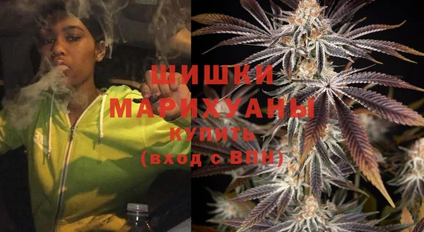 шишки Алзамай