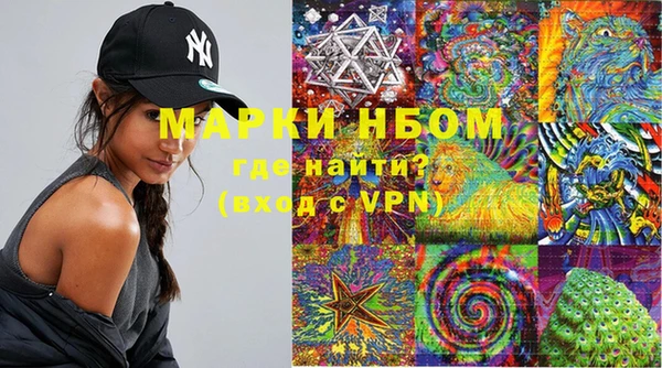 шишки Алзамай