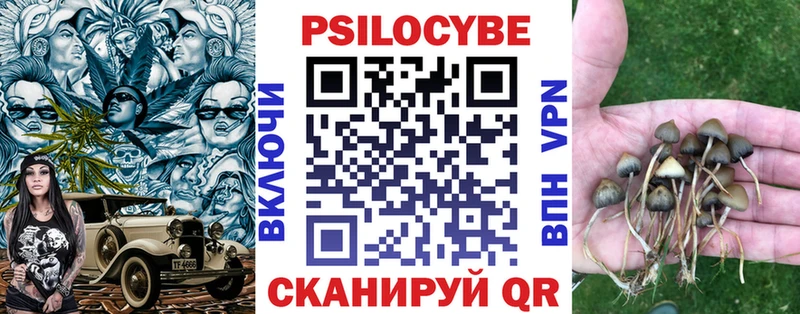 Псилоцибиновые грибы мицелий  Оленегорск 